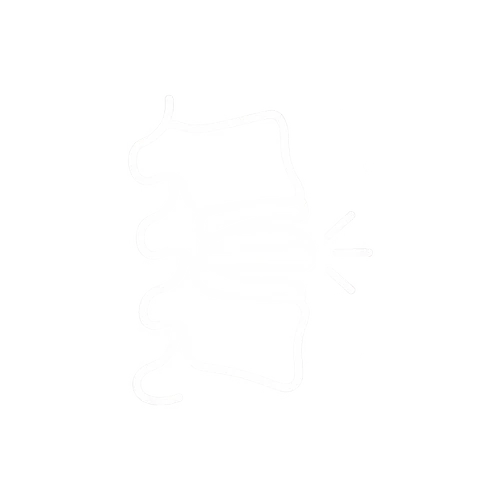 Disc Changes Icon