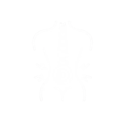 Lower Back Pain Icon